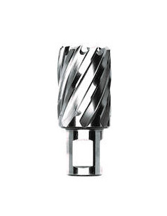 Fraise 2 tailles d 13mm